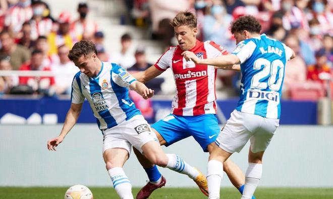 规风险与罚 规风险与罚